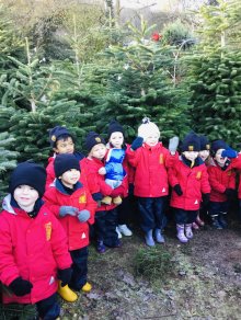 Nursery visit to Pinewood Christmas Trees