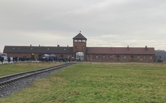 Lessons From Auschwitz Project